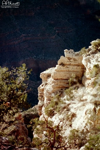 Grand Canyon  12.jpg - More white cliffs.